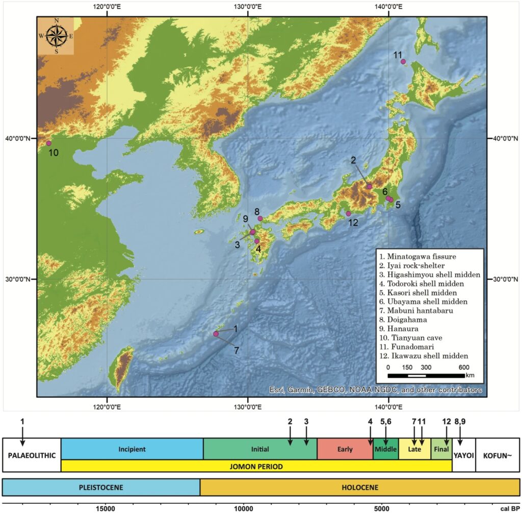 Die Karte zeigt die 12 Fundstellen der Überreste, von denen mtDNA verwendet wurde. Die Karte zeigt Japan sowie einen Teil Chinas. 11 der Fundstellen befinden sich auf den japanischen Inseln (eine auf Hokkaido, fünf auf Honshu, drei auf Kyushu und zwei auf den Ryukyu-Inseln). Eine Fundstelle befindet sich in China. Die älteste Fundstelle stammt aus dem Paläolithikum, die jüngste aus der Yayoi-Zeit.