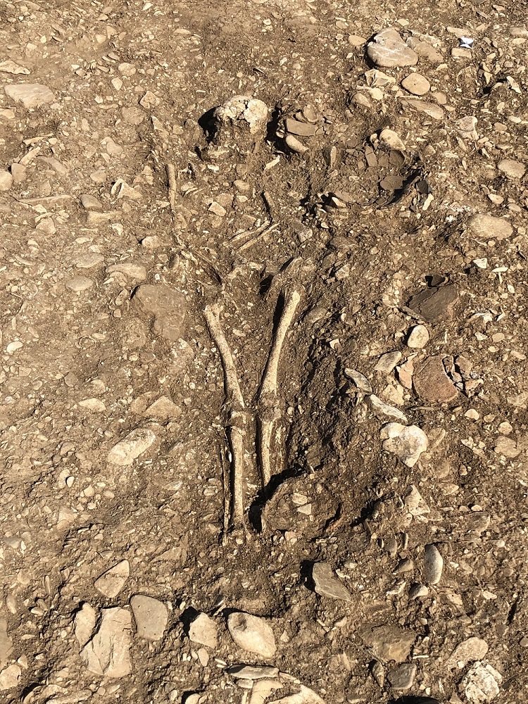 Skelett des Bestatteten im Grabhügel von Cantinaccia di Urbania.