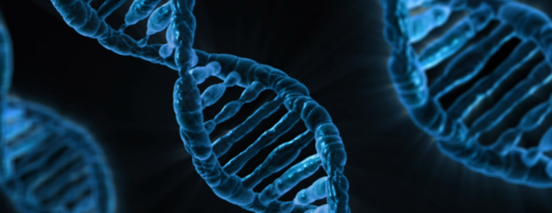 Symbolbild: DNA Stränge.