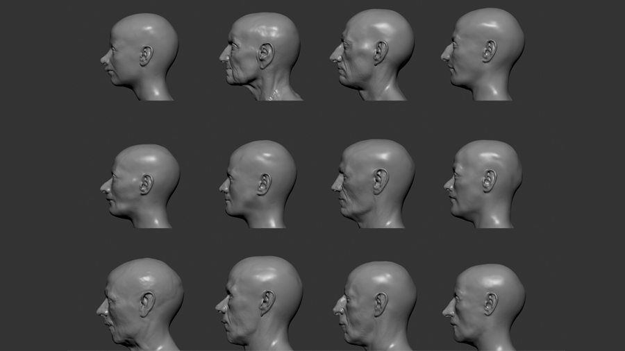 Anzeige von 12 Profilen von rekonstruierten Gesichtern. Die Individuen weisen sehr unterschiedliche Profile auf, bei denen die Unterschiede in der Form der Nase und des Kinns hervorstechen. Die Vielfalt der rekonstruierten Gesichtszüge spiegelt die beobachtbaren Unterschiede in den einzelnen Schädeln wider.