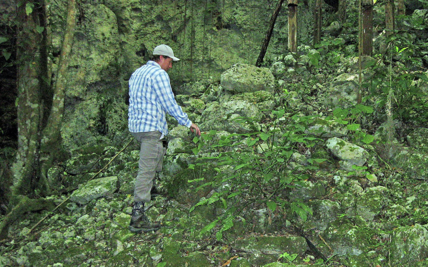 Forscher Chris Balzotti steigt eine Steintreppe nahe einer Doline in Coba, Mexiko, hinauf.