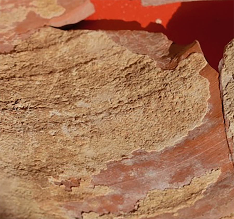 Mineralisierte Konkremente, die sich auf der Oberfläche des Gefäßinneren gebildet haben.