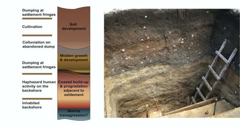 Foto des nördlichen Stratigrafie von Grabungsschnitt UU14. Der Erdboden ist im unteren Bereich hell gefärbt, wird nach oben hin dunkler und geht in Erde über.