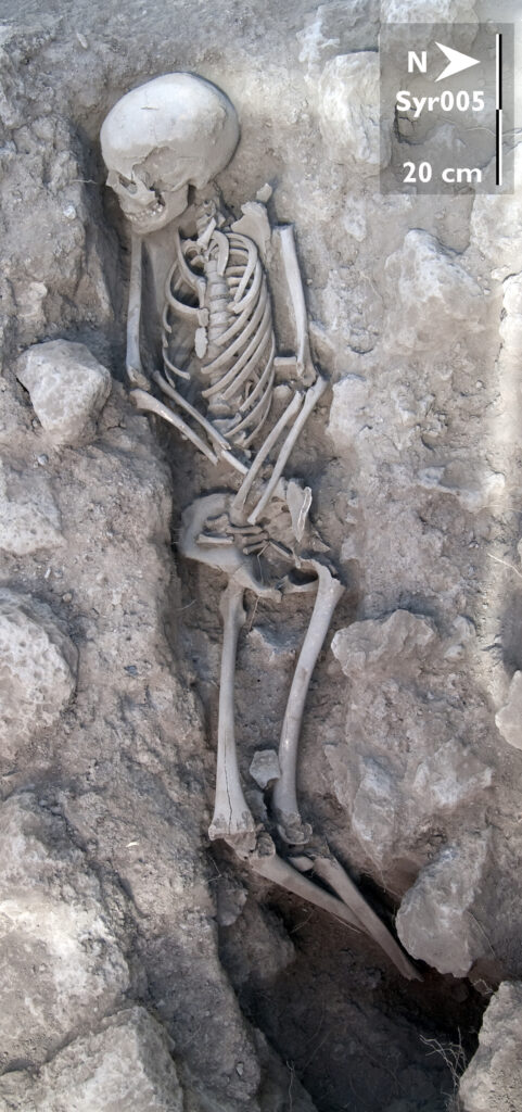 Menschliche Überreste in Gräbern aus der Zeit der Umayyaden im späten 7. und frühen 8. Jh. (zweites Kalifat)