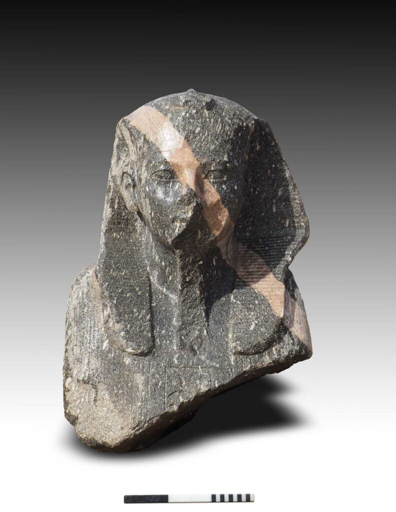 Statuenfragment einer Sphinx des Königs Amenemhat III