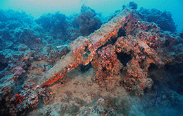 Unterwasseraufnahme eines römischen Ankers zwischen Korallen