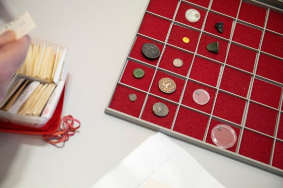 Zu sehen sind Münzen unterschiedlicher Größe und Material, darunter Münzen aus Gold, Silber und Bronze, die die Universität Münster erhalten hat. Sie liegen in einem Kästchen mit rotem Filzbelag.